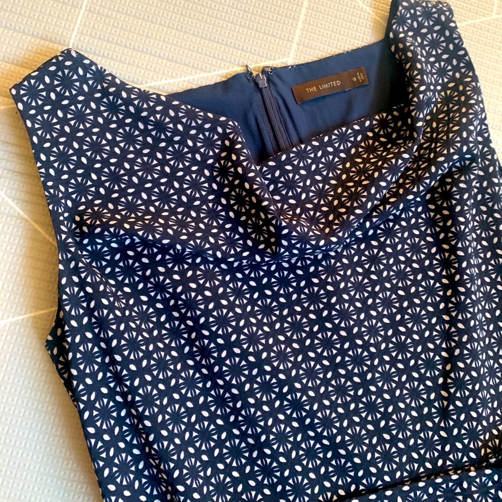 The Limited Cowl neck A-line dress
